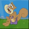 Sandy