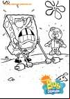 Coloriage Bob l'Eponge